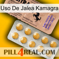 Kamagra Jelly Use 41